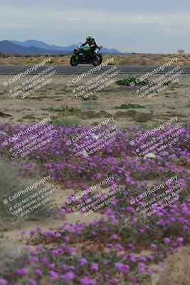 media/Jan-14-2023-SoCal Trackdays (Sat) [[497694156f]]/Turn 14 Exit Bloomig (145pm)/